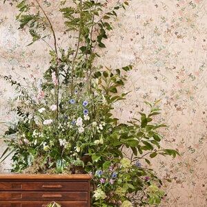 Disney Home x Sanderson Wallpaper Collection - Bambi Neapolitan